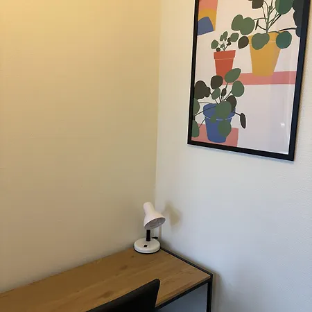 欧登塞市丹恩旅馆 旅馆 *