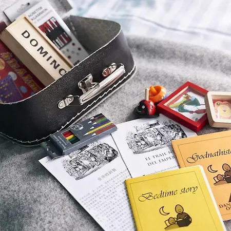 旅馆 欧登塞市丹恩旅馆 *