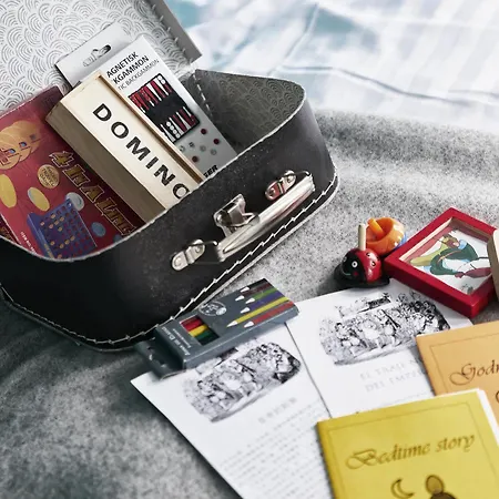 Hostel Danhostel Odense