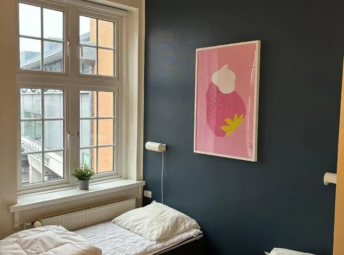 旅馆 欧登塞市丹恩旅馆 *