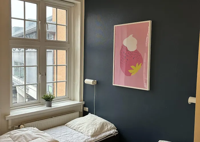 Danhostel Hostel Odense
