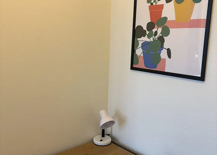 欧登塞市丹恩旅馆 旅馆 *