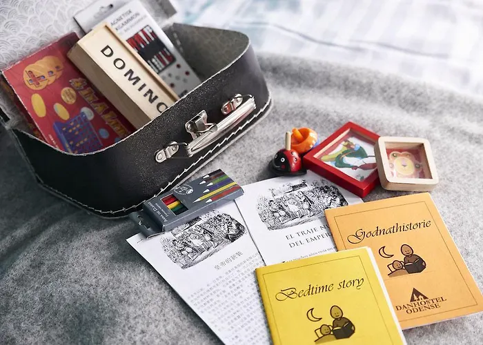 旅馆 欧登塞市丹恩旅馆 *